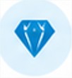 Premium Icon